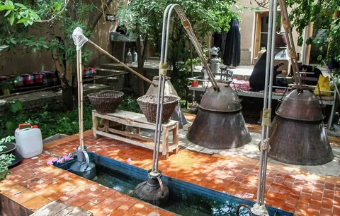 تصویر 2 از خرید و قیمت عرق گلاب گل محمدی + فروش عمده